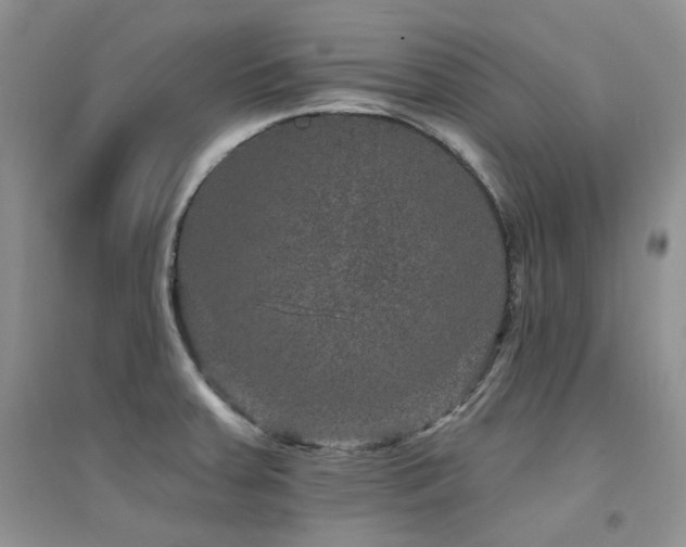 X0000094961379200711291430
