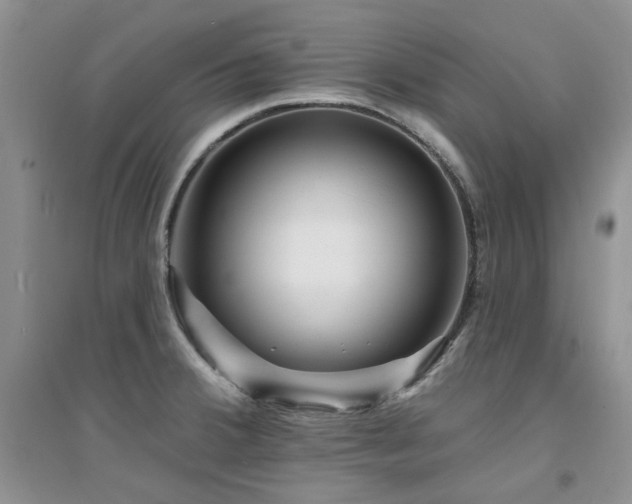 X0000094961380200711291430