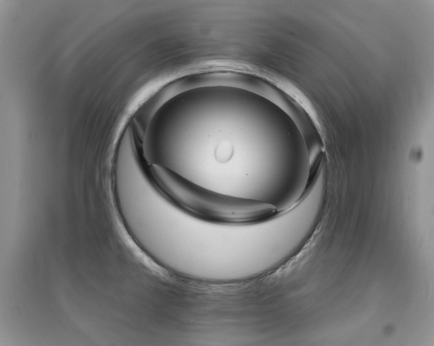 X0000094961381200711291430