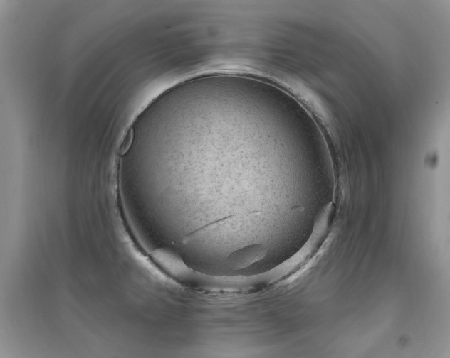 X0000094961382200711291430