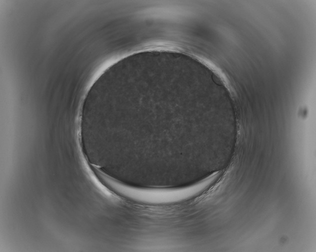 X0000094961383200711291430