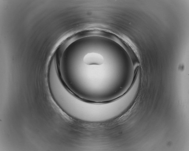 X0000094961384200711291430