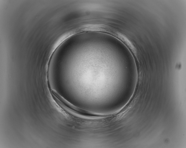 X0000094961386200711291430