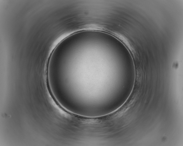 X0000094961387200711291430