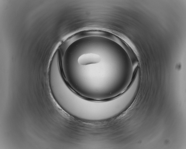 X0000094961388200711291430