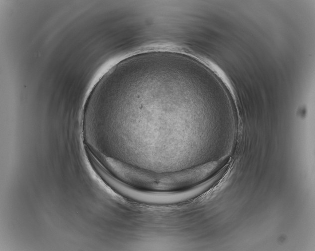 X0000094961389200711291430