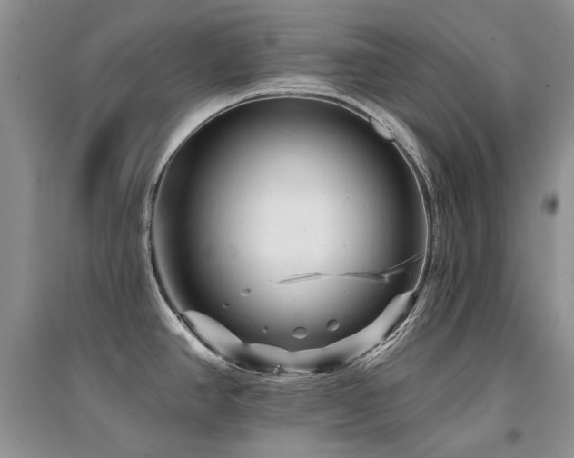 X0000094961390200711291430