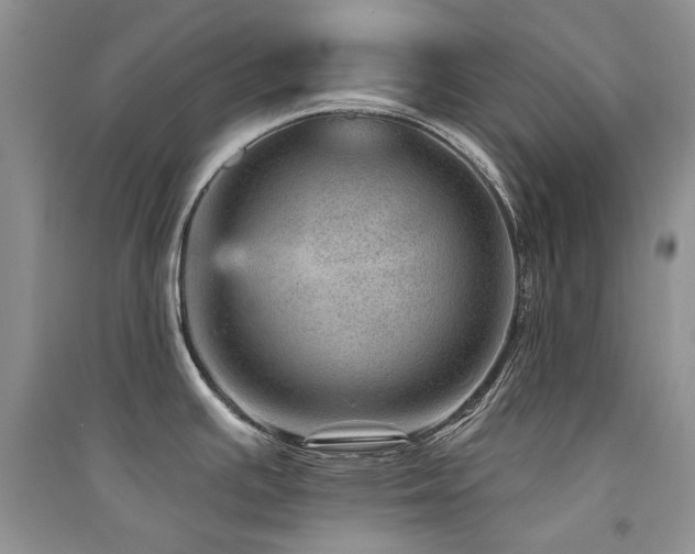 X0000094961391200711291430
