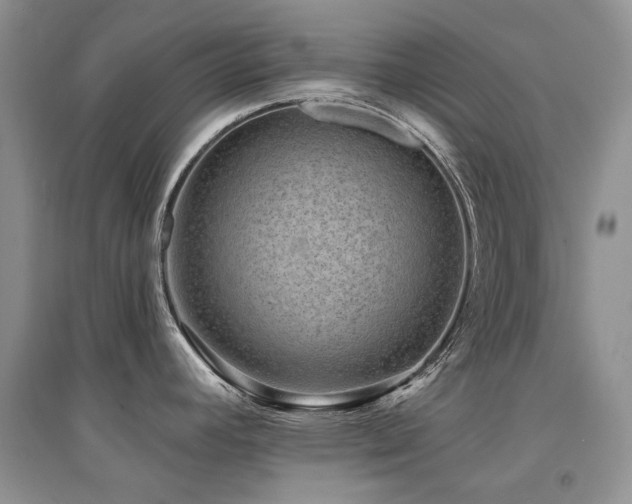 X0000094961392200711291430