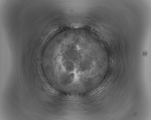 X0000094961393200711291429