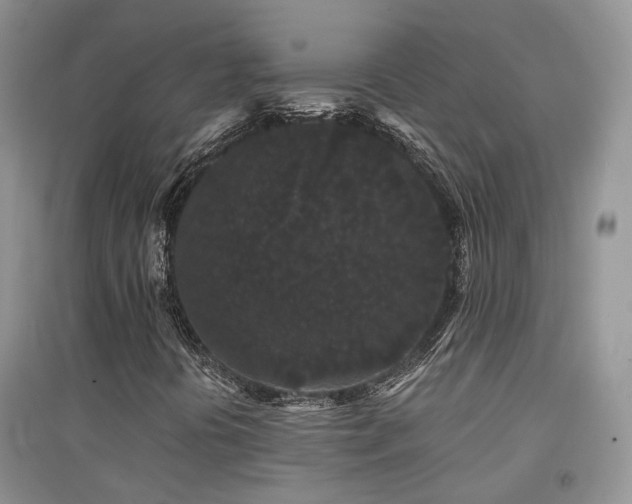 X0000094961394200711291429