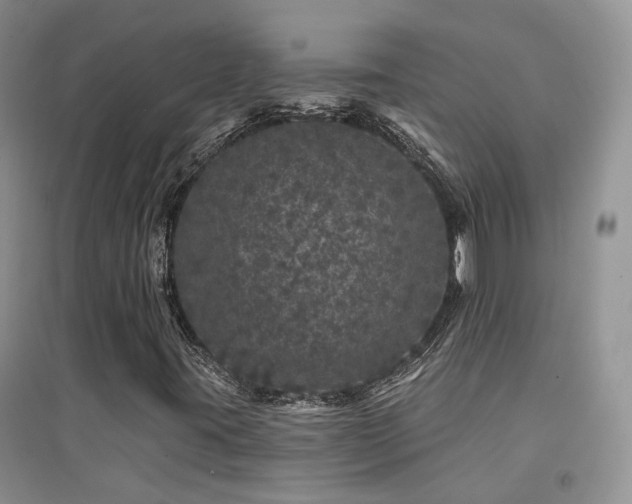 X0000094961395200711291429