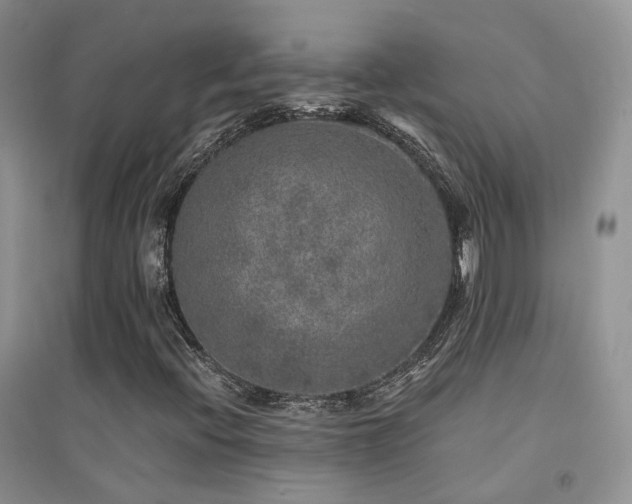 X0000094961396200711291429