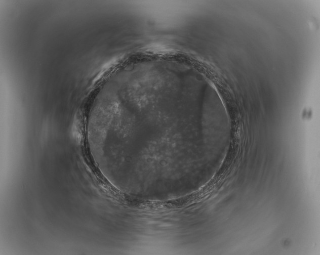 X0000094961397200711291429