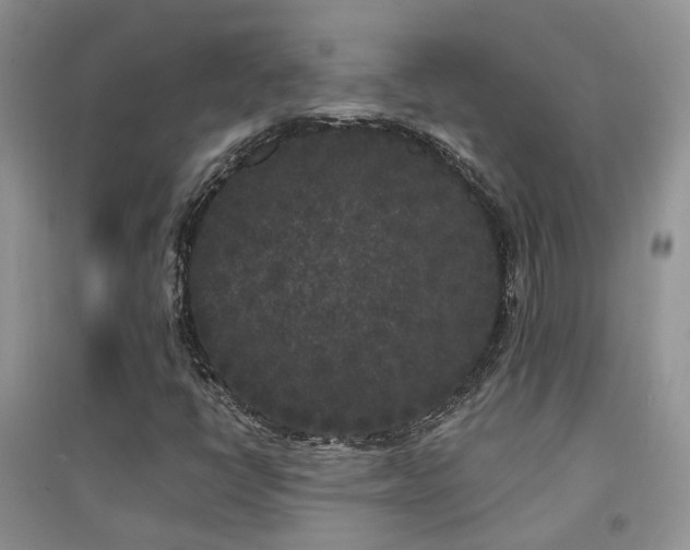 X0000094961398200711291429