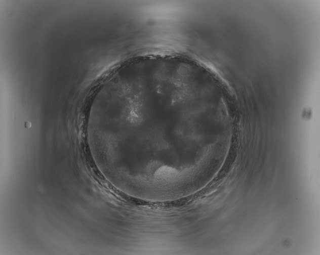 X0000094961399200711291429