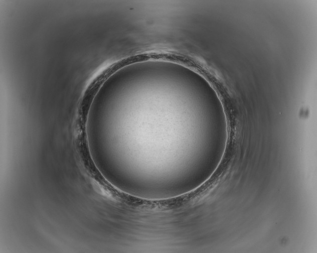X0000094961400200711291429