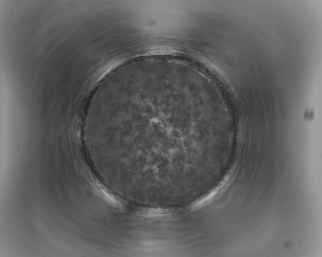 X0000094961401200711291429