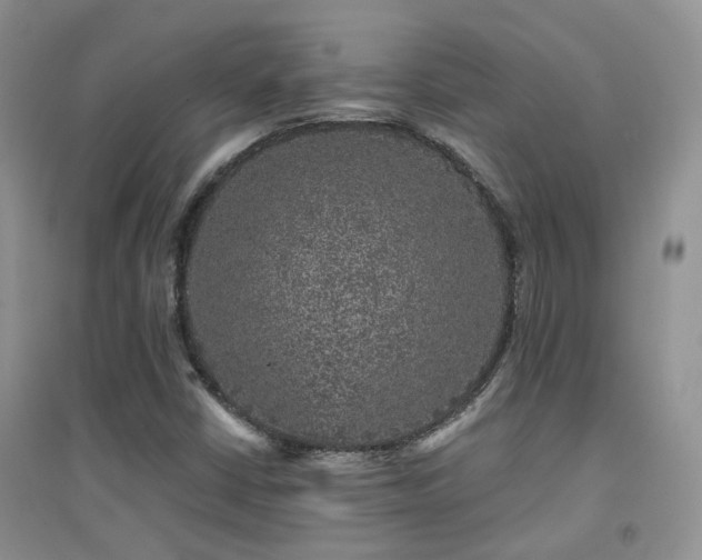 X0000094961402200711291429