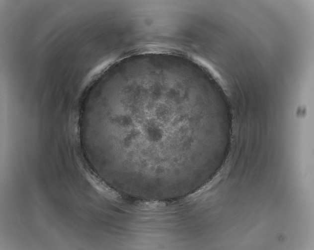 X0000094961403200711291429