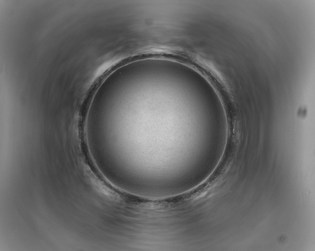 X0000094961404200711291430