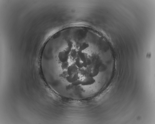 X0000094961405200711291430