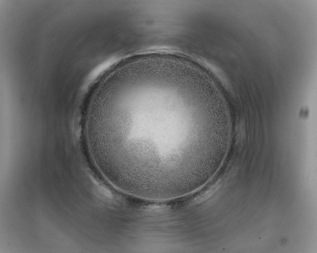X0000094961406200711291430