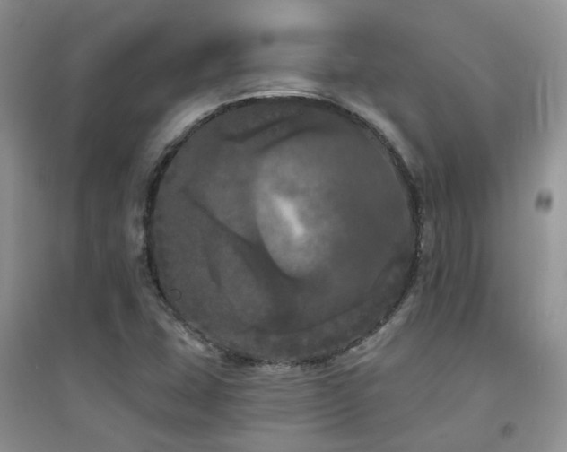 X0000094961407200711291430