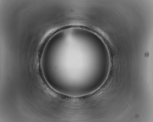 X0000094961408200711291430