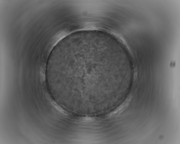 X0000094961409200711291430