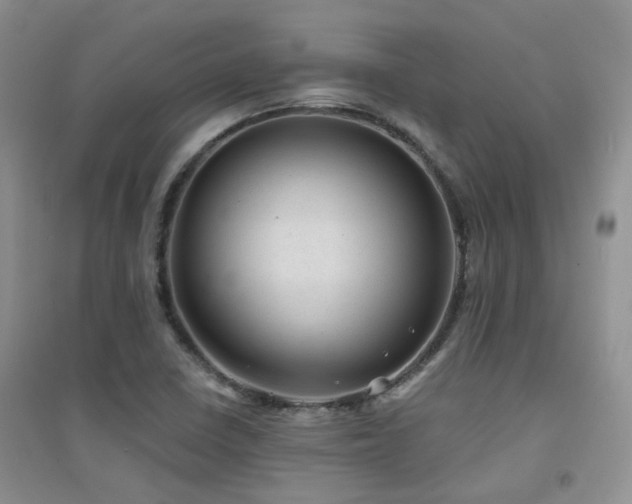 X0000094961410200711291430