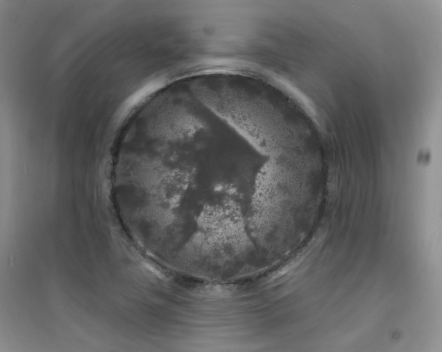 X0000094961411200711291430