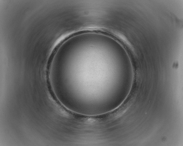X0000094961412200711291430