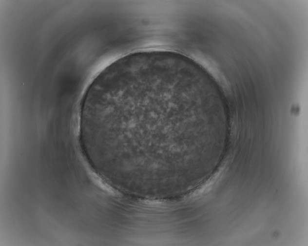 X0000094961413200711291430