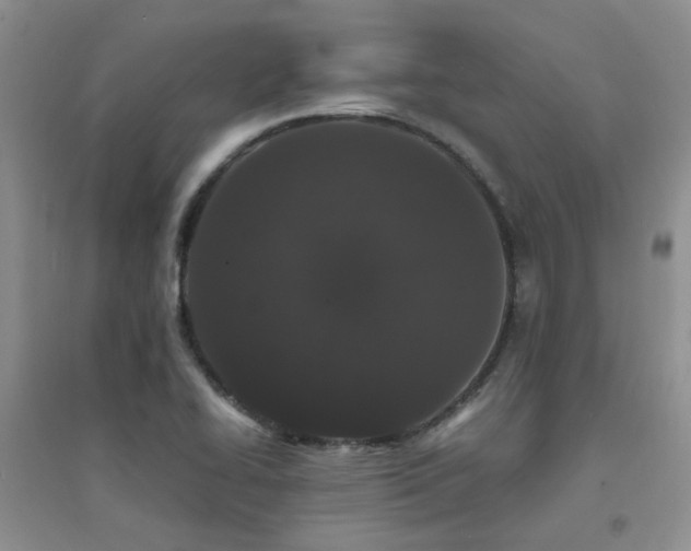 X0000094961414200711291430