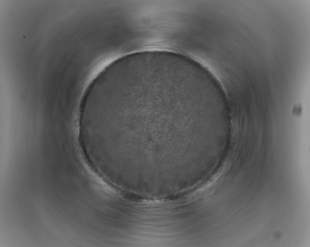X0000094961415200711291430