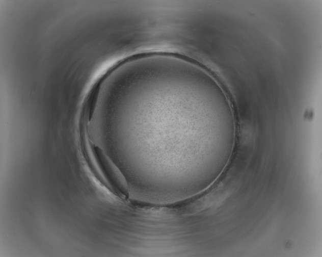 X0000094961416200711291430