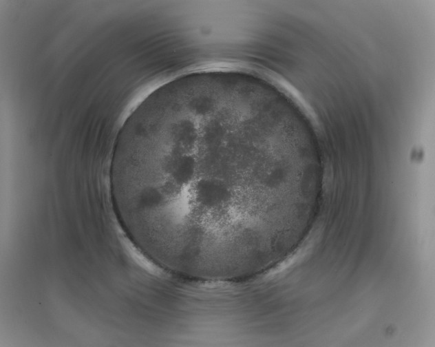 X0000094961417200711291430