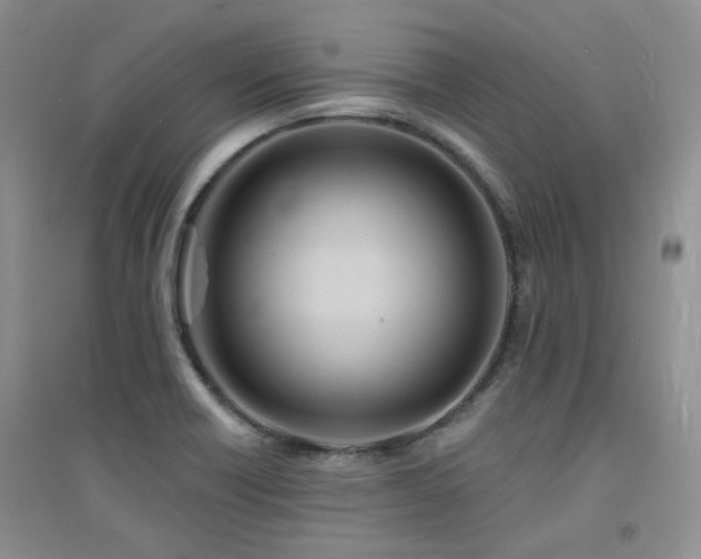 X0000094961418200711291430