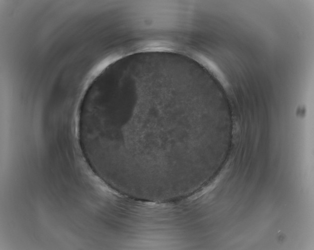 X0000094961419200711291430