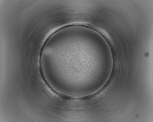 X0000094961420200711291430
