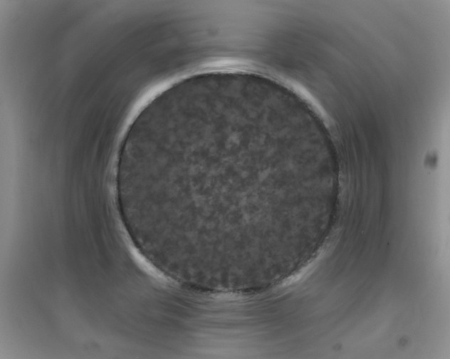 X0000094961421200711291430