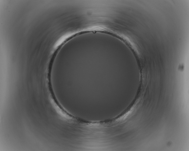 X0000094961422200711291430