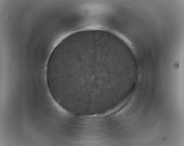 X0000094961423200711291430