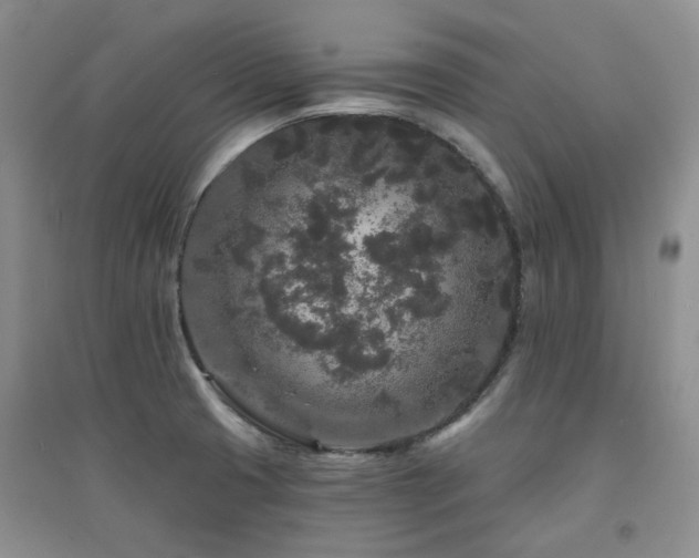 X0000094961425200711291430