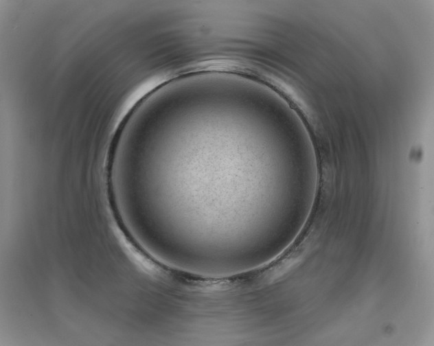 X0000094961426200711291430