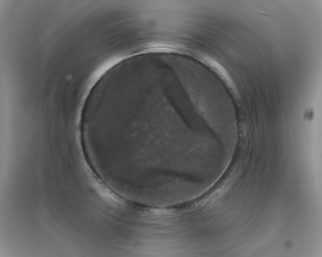 X0000094961427200711291430
