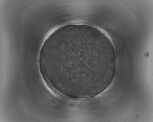 X0000094961429200711291430