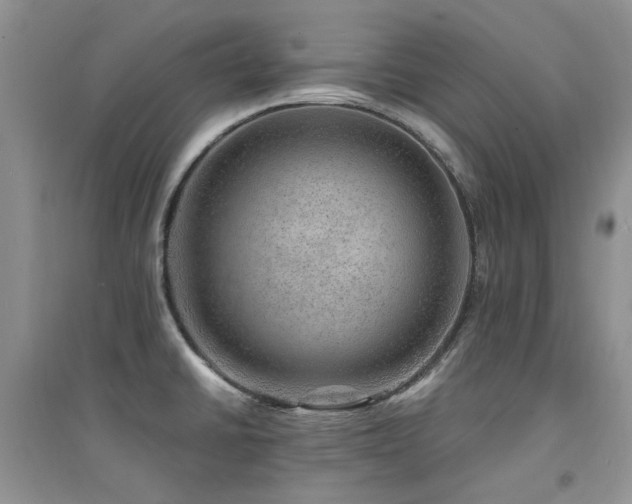 X0000094961430200711291430