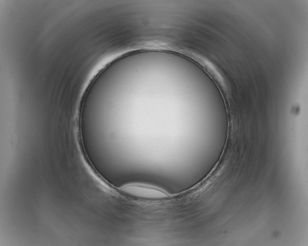 X0000094961432200711291430